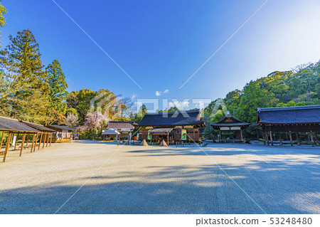 Kyoto Spring Kamigamo Shrine Scenery 53248480