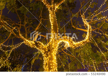 Decorative outdoor string lights hanging on tree 53248490