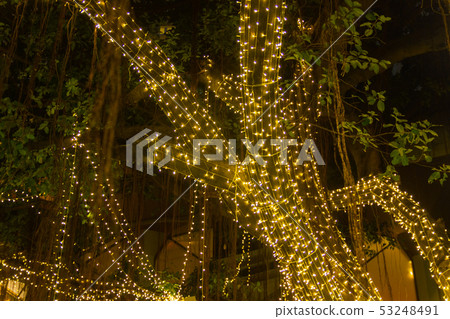 Decorative outdoor string lights hanging on tree 53248491
