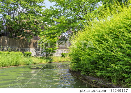 Fushimi 10 Ishi Fushimi 10 Ishi 53249117