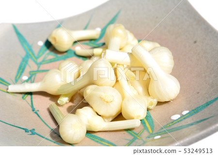 Nobil, wild grass, wild vegetables, vegetables, image material, white background Nobil, wild grass, wild vegetables, vegetables, image material, white background 53249513