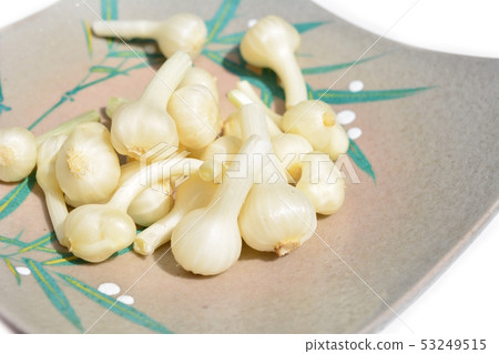 Nobil, wild grass, wild vegetables, vegetables, image material, white background Nobil, wild grass, wild vegetables, vegetables, image material, white background 53249515