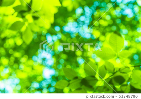 新鮮的綠色和生態形象 53249790