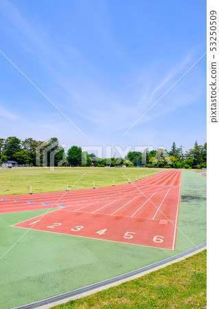 Athletics stadium 53250509