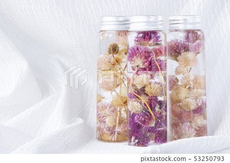 植物標本室 53250793