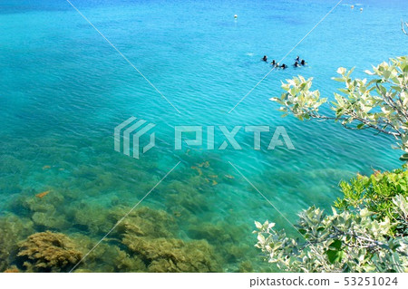 Diving in Nishiizu Tako Sehama 53251024