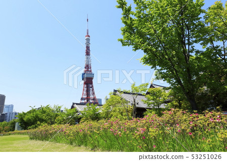 Tokyo Tower Shiba Koen Clear Tokyo Tower Shiba Koen Clear 53251026