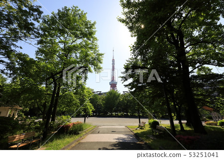 東京鐵塔Shiba Koen清除 53251041