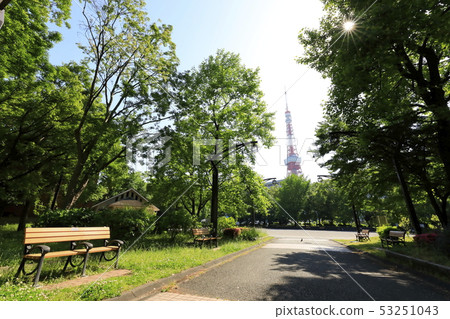 Tokyo Tower Shiba Koen Clear Tokyo Tower Shiba Koen Clear 53251043