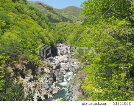 Fresh green dragon channel 53251068