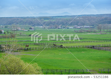從停車場的北海道純種銀座視圖 53251166