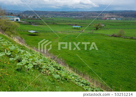 從停車場的北海道純種銀座視圖 53251214