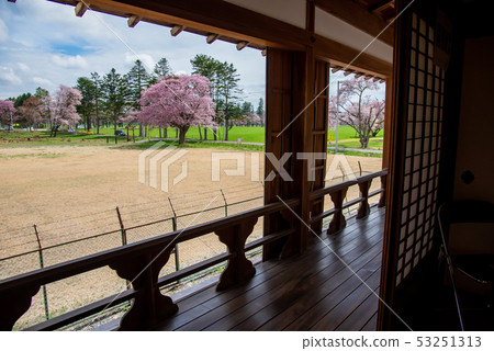 Ryuunkaku外面走廊外，新皇冠牧場，位於北海道Shizunai的櫻花樹林盡頭 53251313