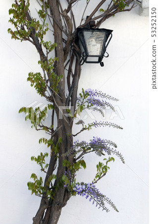 阿爾貝羅貝洛景觀意大利 53252150