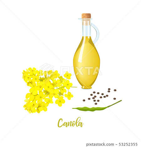 Rapeseed oil in bottle, canola blossom flowers and 53252355