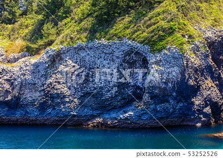 七盆[Saratsu Prefecture Karatsu City] 53252526
