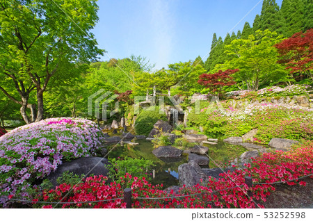 Hidehiko Vol。 53252598