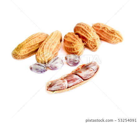 peanut group. nuts close up on white background 53254091