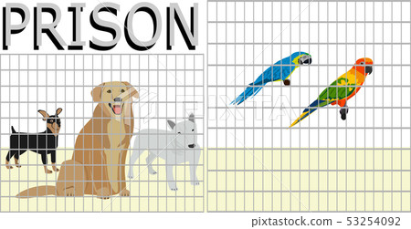 Pets that are locked in a cage by people Pets that are locked in a cage by people 53254092