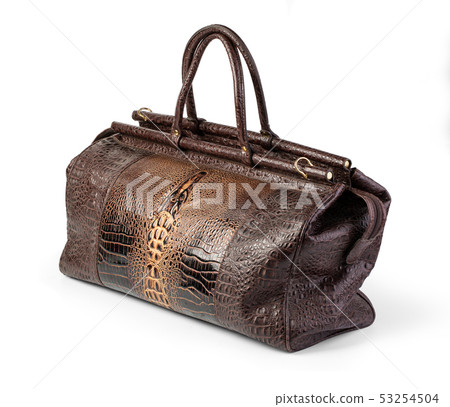 carpetbag isolated on white 53254504