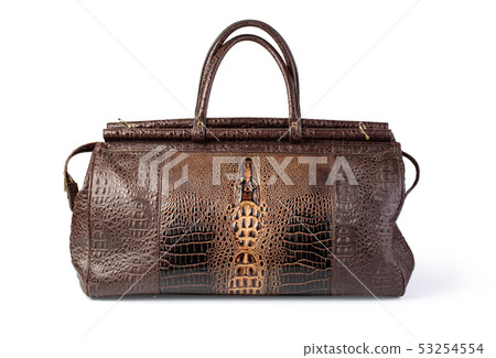 carpetbag isolated 53254554
