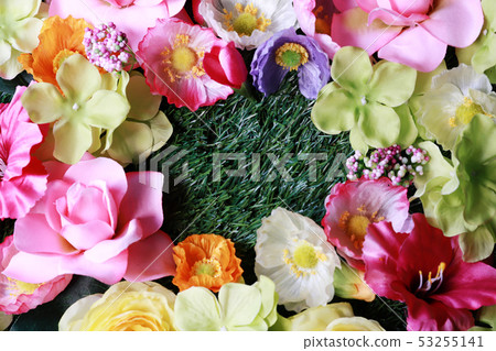 Flowers and grass Flowers and grass 53255141