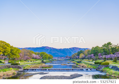 Kyoto Spring Tree Road Kyoto Spring Tree Road 53257921