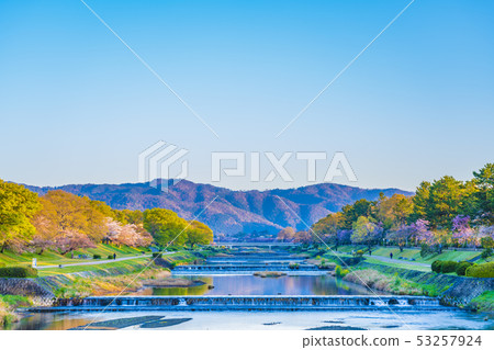 京都春樹路 53257924