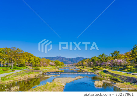 京都春樹路 53257961