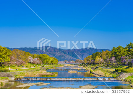 Kyoto Spring Tree Road Kyoto Spring Tree Road 53257962