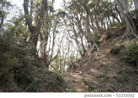 下田城堡Horikiri 下田城堡Horikiri 53258582