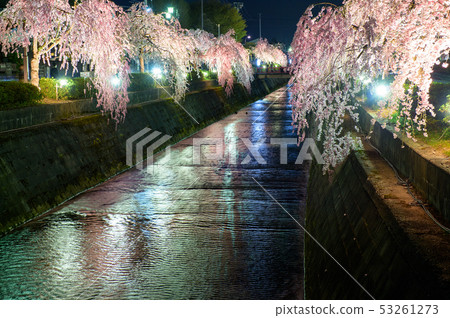 Tendo city Yozakura Yamagata Prefecture Tendo city Yozakura Yamagata Prefecture 53261273