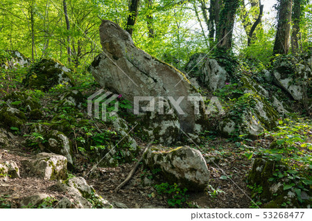 A pile of large stones in the forest A pile of large stones in the forest 53268477