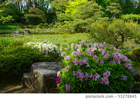 Heian Jingu Shrine Azalea Nakashingu Soryu Pond 53278845