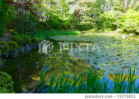 Heian Jingu Shrine Kakibatata Nakashingu Soryu Pond Heian Jingu Shrine Kakibatata Nakashingu Soryu Pond 53278851