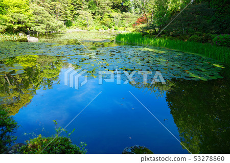 Heian Jingu Shrine Kakibatata Nakashingu Soryu Pond 53278860