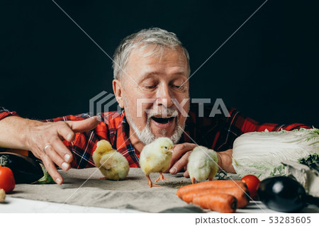 emotional granfather having fun with chickens on the table 53283605