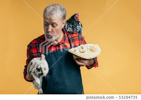 old pleasant man spending time with animals and birds old pleasant man spending time with animals and birds 53284735