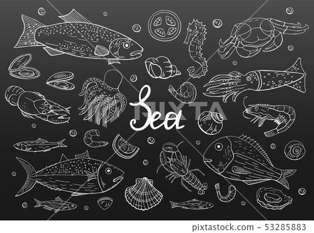 Hand drawn vintage seafood set on black backround. 53285883