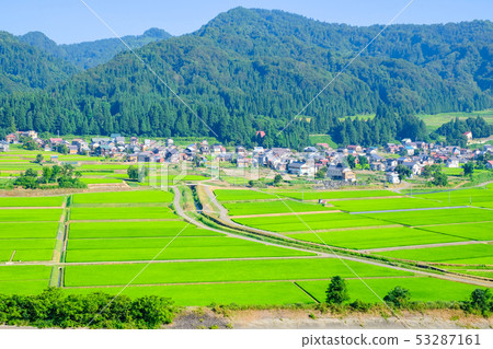 Summer rural landscape (July) Summer rural landscape (July) 53287161