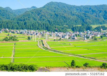 夏季鄉村景觀（七月） 53287162