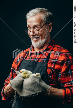 happy old farmer holding a cloth with chickens 53290069