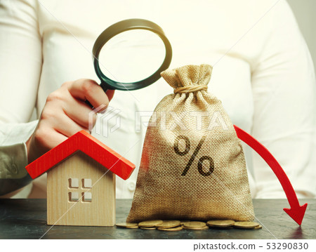 Money bag with percents, down arrow Money bag with percents, down arrow 53290830