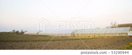 Greenhouses in the field for seedlings of crops. 53290944