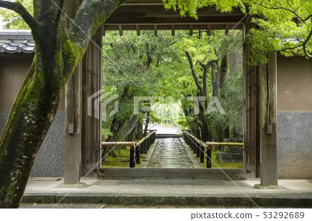 京都，一個新鮮的綠燈寺 53292689