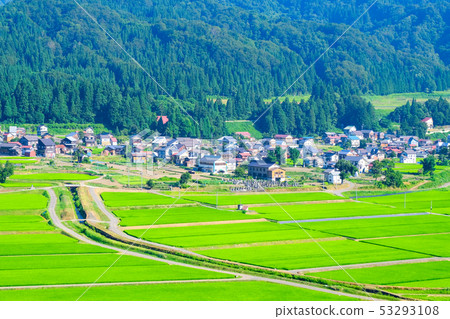Summer rural landscape (July) Summer rural landscape (July) 53293108