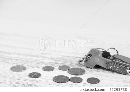 ukrainian coins and keys on white background. ukrainian coins and keys on white background. 53295788
