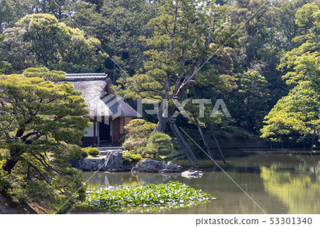 Fresh green Japanese garden (Katsura rikyu) 53301340