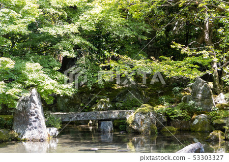 Fresh green Japanese garden (Renkakuji) 53303327
