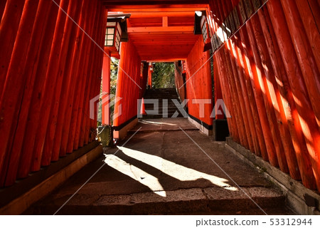 Tamiya Tani Ina Shrine Shimane Prefecture Tsuwano Town Fall 53312944